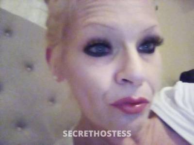 Brittany 41Yrs Old Escort Phoenix AZ Image - 2