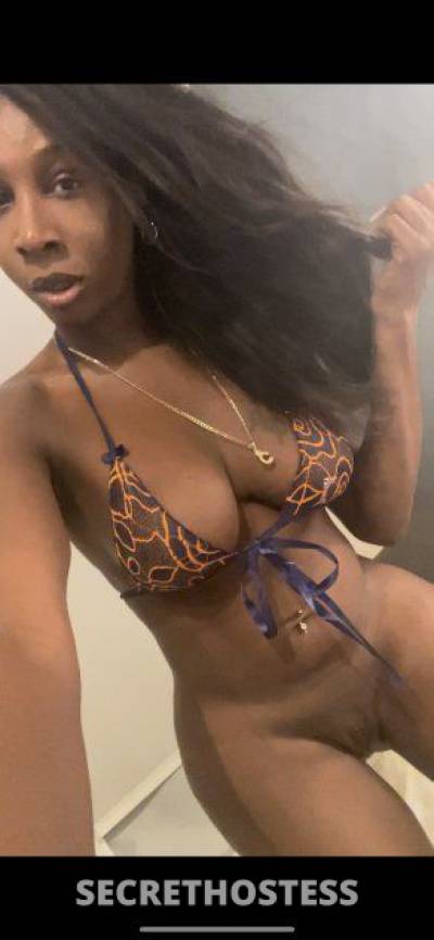 Carina 27Yrs Old Escort 170CM Tall Brooklyn NY Image - 2