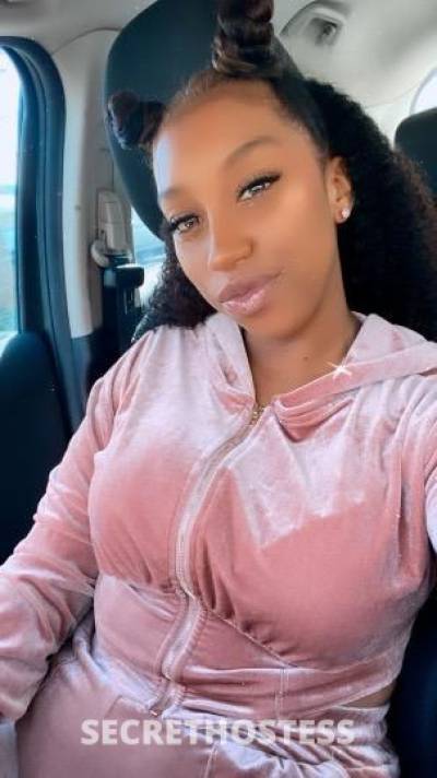 Chanel 24Yrs Old Escort Chico CA Image - 6