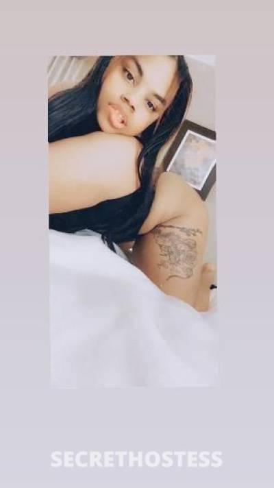 23 Year Old Dominican Escort Fort Lauderdale FL - Image 4