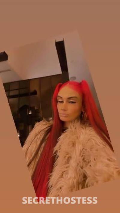 24 year old Escort in Los Angeles CA SUPERSOAKER...Upscale ..Sexy Seductive Goddess ✨..Don'