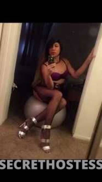 Kayla 22Yrs Old Escort Los Angeles CA Image - 1