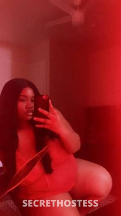 Kitty 21Yrs Old Escort North Bay CA Image - 0