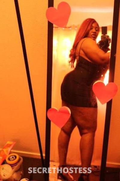 Kitty 21Yrs Old Escort North Bay CA Image - 2