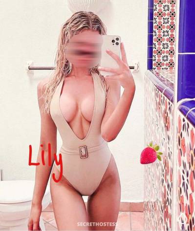 Lily 25Yrs Old Escort Manhattan NY Image - 2