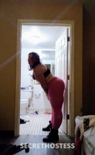 Lucy 28Yrs Old Escort Springfield IL Image - 1