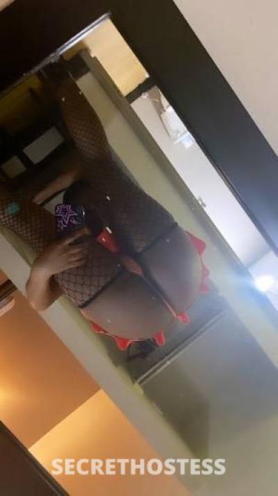 Mari 20Yrs Old Escort Bakersfield CA Image - 1