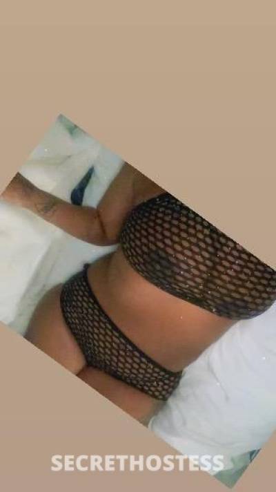 Mia 22Yrs Old Escort Concord CA Image - 10