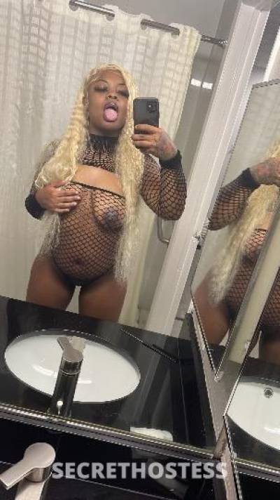 Milan 23Yrs Old Escort Houston TX Image - 0