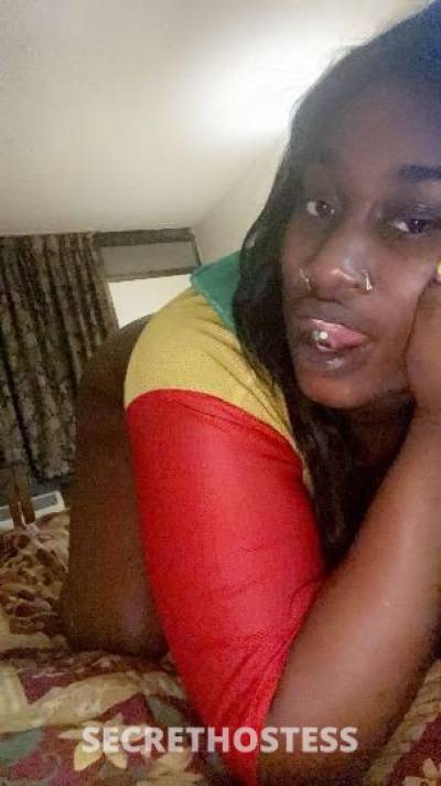 NutCatcher👅 23Yrs Old Escort Birmingham AL Image - 1