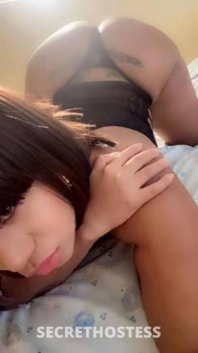 Paola 26Yrs Old Escort North Jersey NJ Image - 2