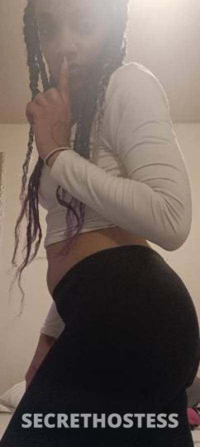 Remy 24Yrs Old Escort 172CM Tall Fresno CA Image - 3