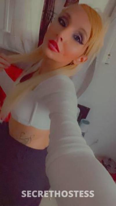 SexySpanishBarbie 29Yrs Old Escort Indianapolis IN Image - 6