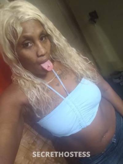 Trina 31Yrs Old Escort Treasure Coast FL Image - 8