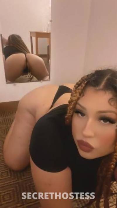 Vanessa 24Yrs Old Escort Oakland CA Image - 3