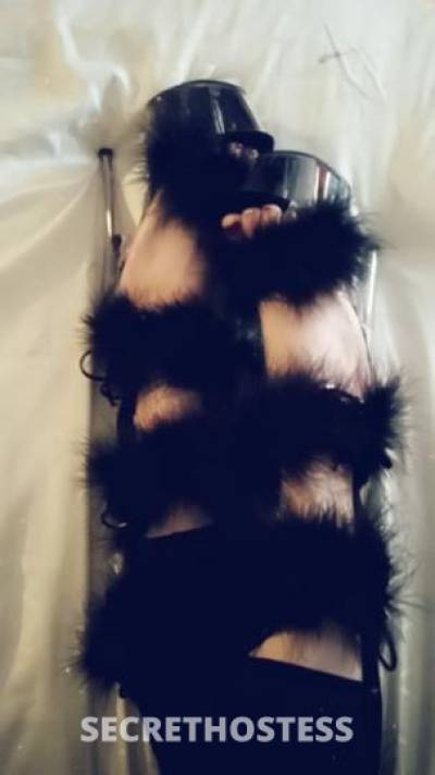 caliSherbert 27Yrs Old Escort Worcester MA Image - 0