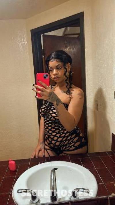 21Yrs Old Escort Los Angeles CA Image - 1