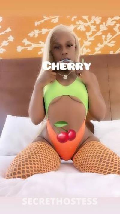 25Yrs Old Escort Stockton CA Image - 2