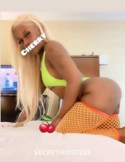 25Yrs Old Escort Stockton CA Image - 3