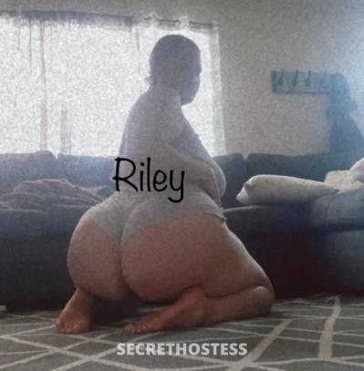 26Yrs Old Escort Winston-Salem NC Image - 0