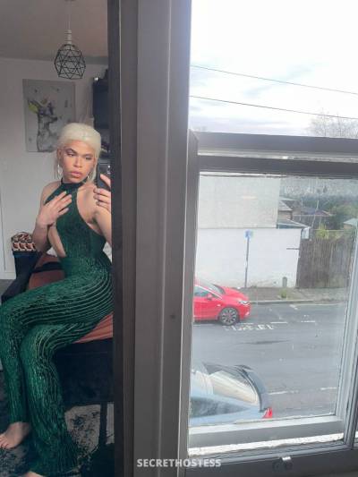 27 year old Latino Escort in London Ashly shemale accept cash hand to hand, Transsexual escort