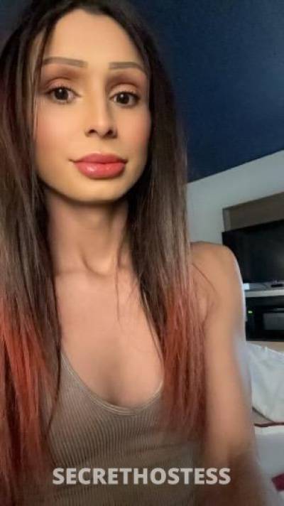 Aisa 23Yrs Old Escort Amarillo TX Image - 5