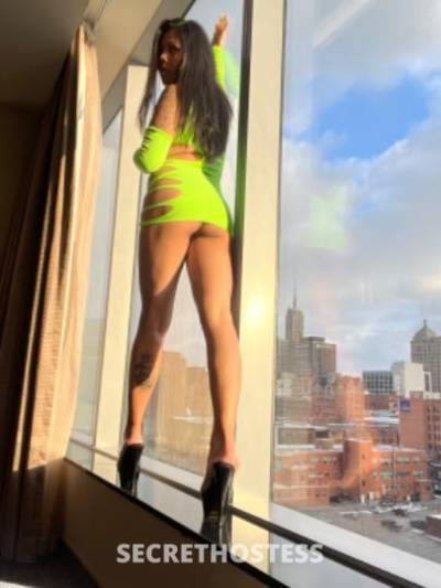 Bella 27Yrs Old Escort Pittsburgh PA Image - 8