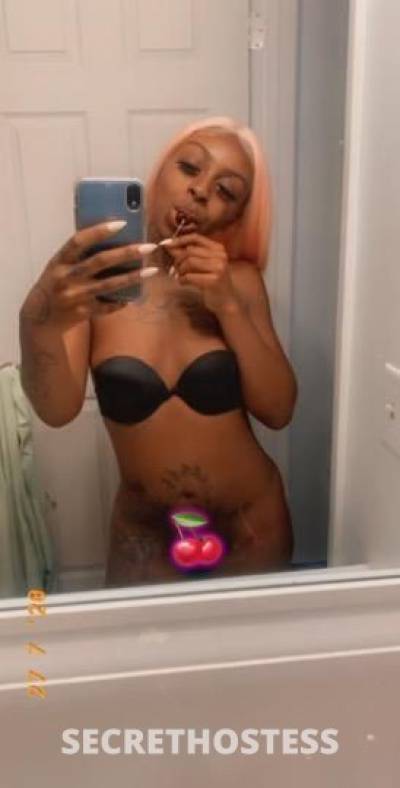 Bellabae 24Yrs Old Escort Saint Louis MO Image - 2