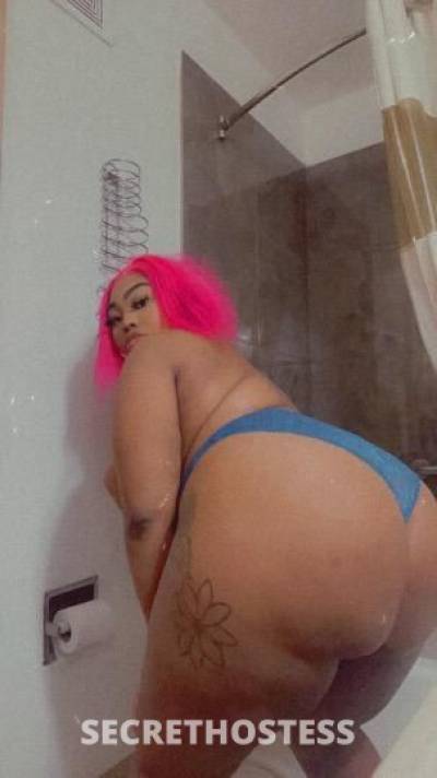 Blasian 22Yrs Old Escort Saint Louis MO Image - 4