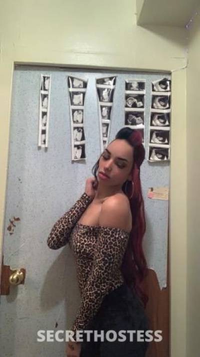 26 Year Old Italian Escort Manhattan NY - Image 9