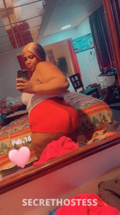 CHUNKY 26Yrs Old Escort 165CM Tall Rochester NY Image - 1