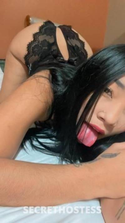 Camila 23Yrs Old Escort Chicago IL Image - 0