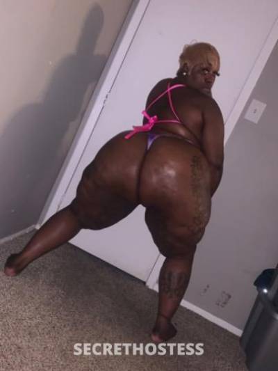 CherishCheeks 28Yrs Old Escort New Orleans LA Image - 6