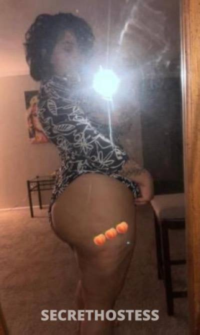 Daisy 21Yrs Old Escort Houston TX Image - 3