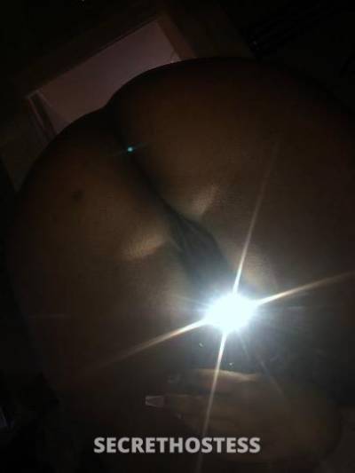 Dizzydime 22Yrs Old Escort Washington DC Image - 5