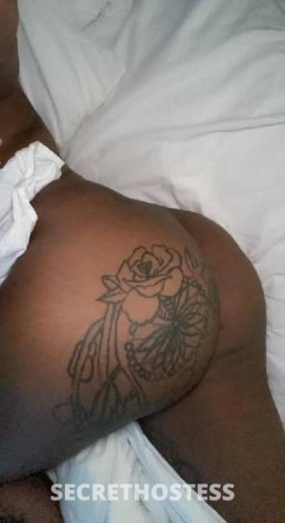 Draya 28Yrs Old Escort Fort Lauderdale FL Image - 0