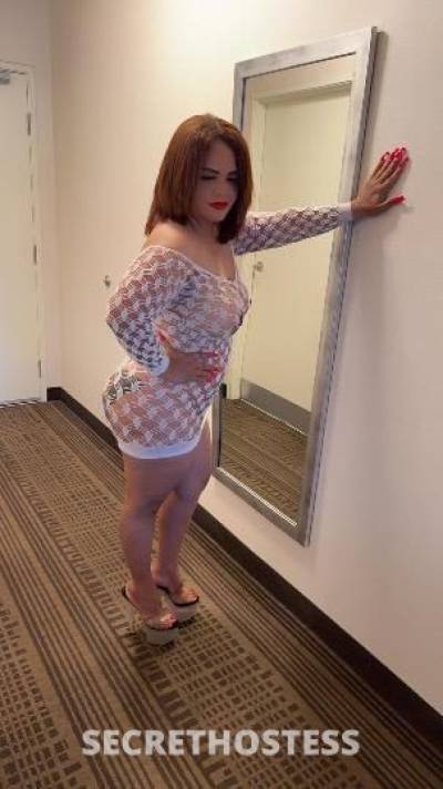 Elizabeth 34Yrs Old Escort San Buenaventura CA Image - 4