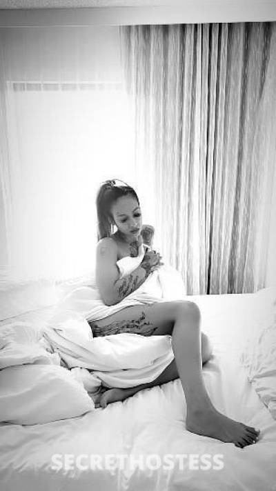 Estephania 25Yrs Old Escort Santa Maria CA Image - 5