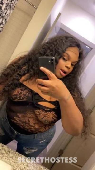 Jayda 26Yrs Old Escort Baltimore MD Image - 5