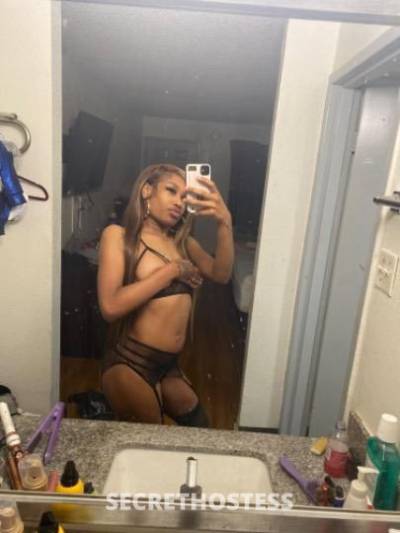 Mercedez 19Yrs Old Escort Little Rock AR Image - 3