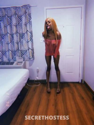 Minnie 21Yrs Old Escort Raleigh NC Image - 1