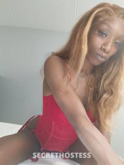 Mystery⭐ 23Yrs Old Escort San Antonio TX Image - 2