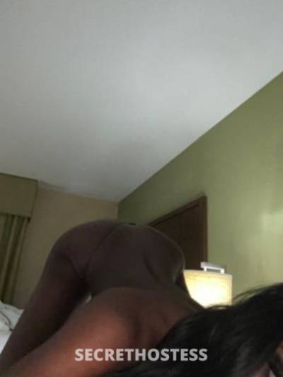 NaomiRose 21Yrs Old Escort Lake Charles LA Image - 0