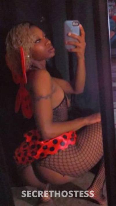 Olivia 26Yrs Old Escort South Jersey NJ Image - 1