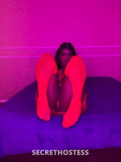 Remy 26Yrs Old Escort Fort Worth TX Image - 3