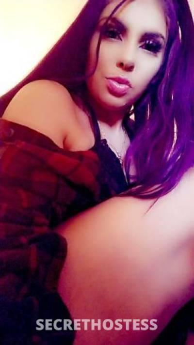 SELENA 28Yrs Old Escort Phoenix AZ Image - 2