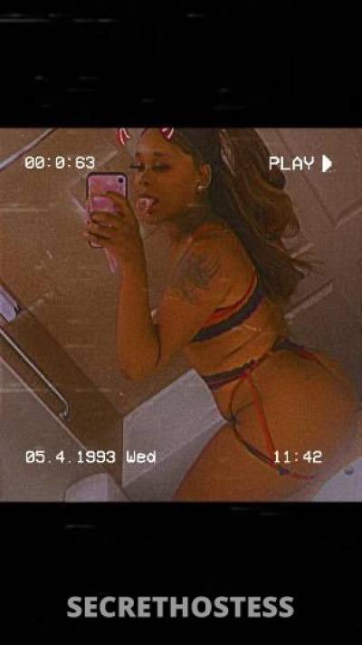 Sapphire 23Yrs Old Escort Dayton OH Image - 3