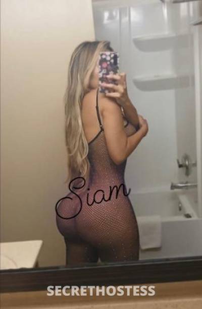 Siam🌹 27Yrs Old Escort Jacksonville FL Image - 1