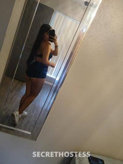 Sofia 24Yrs Old Escort Dallas TX Image - 6