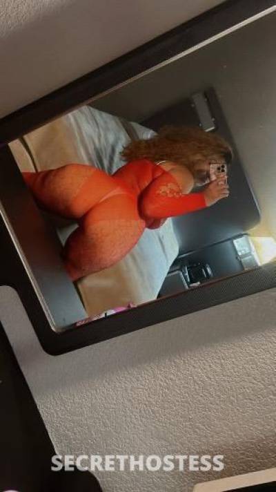 Vanessa 24Yrs Old Escort Oakland CA Image - 3